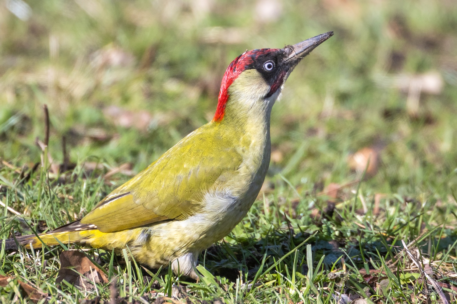 11 maart 2023 141542 1R2A0884 bewerkt